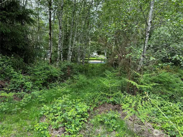 Road access