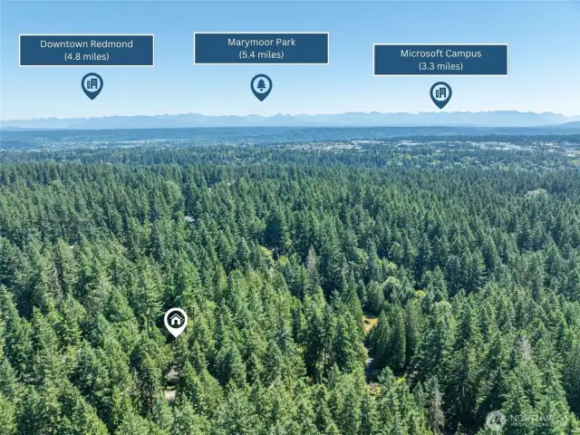 Nestled in nature yet close to it all—this peaceful retreat offers convenient access to Downtown Redmond’s shopping and dining, the trails and events at Marymoor Park, and the world-class Microsoft Campus.