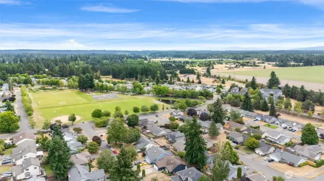 Aerial view showcases the peaceful Lakepointe neighborhood surrounded by lush greenery and open skies.