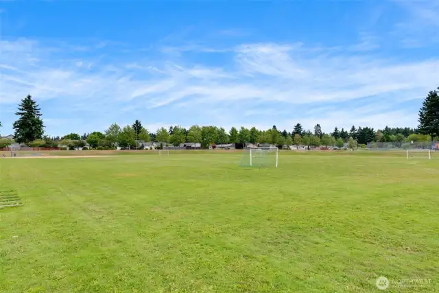 Expansive neighborhood field perfect for picnics, casual games, or soaking up the sun.