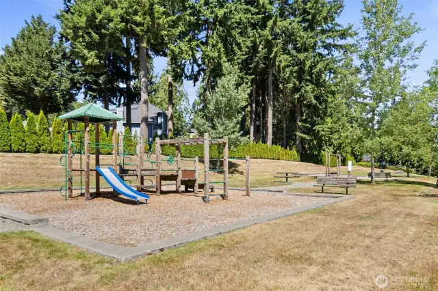 Neighborhood park, a short walk away.