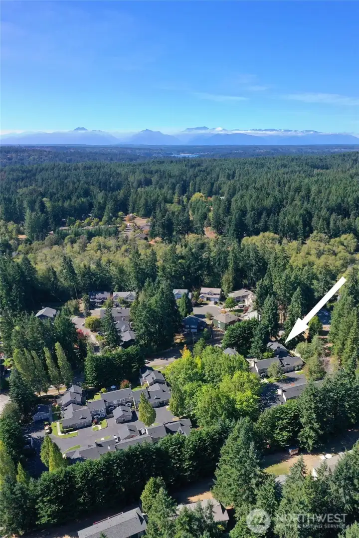 An overview of Chatham Cove