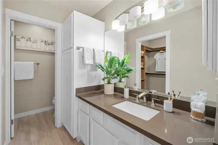 Primary ensuite with walk-in closet.