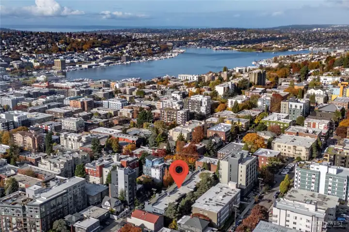 Wonderful location on Capitol Hill. Walking distance to transit, downtown, nightlife, freeways and more.