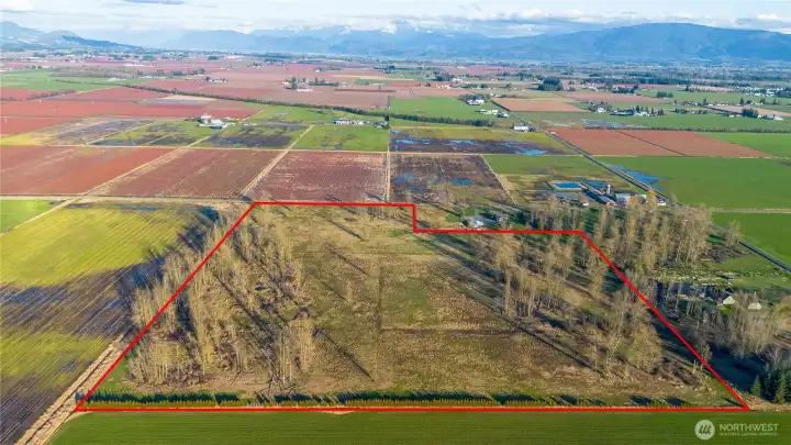 Beautiful and peaceful 35.7 acres just north of Lynden.