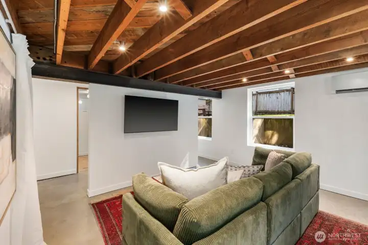 Lower level family room