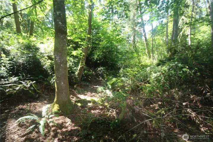 Sun & Trees. A trail loops through the western half of the land and gives a good sense of the topography of the land.