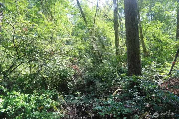 Seriously come check this out, pictures don't do it justice.