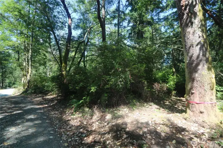 Facing north from the southern boarder.