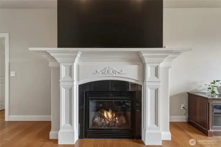 Gas Fireplace in Living Room