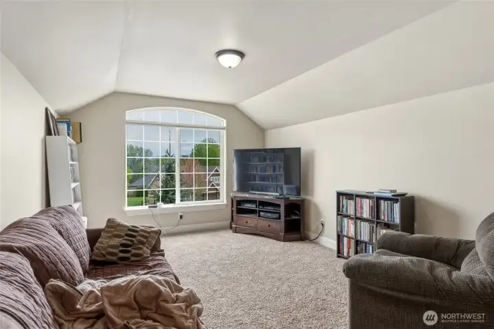 Bonus room TV area