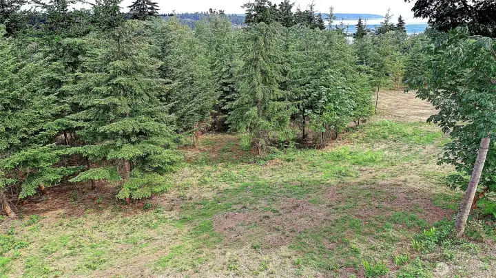 Mountain, Sound Views to East With Additional Selective Clearing of Your Trees~