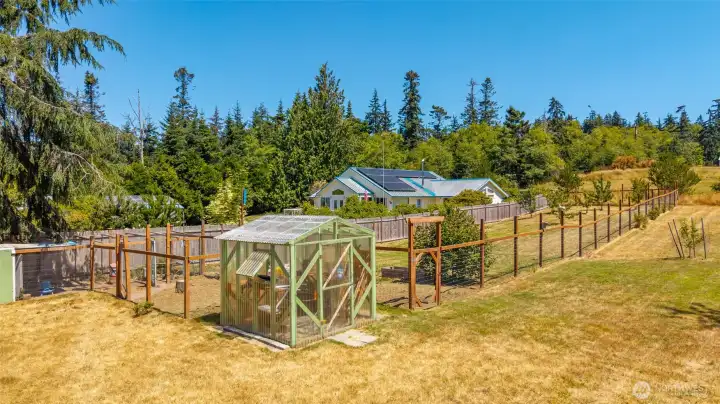 Large, completely fenced area for the mature fruit trees and chickens or dogs! Large, completely fenced area for the mature fruit trees and chickens or dogs!