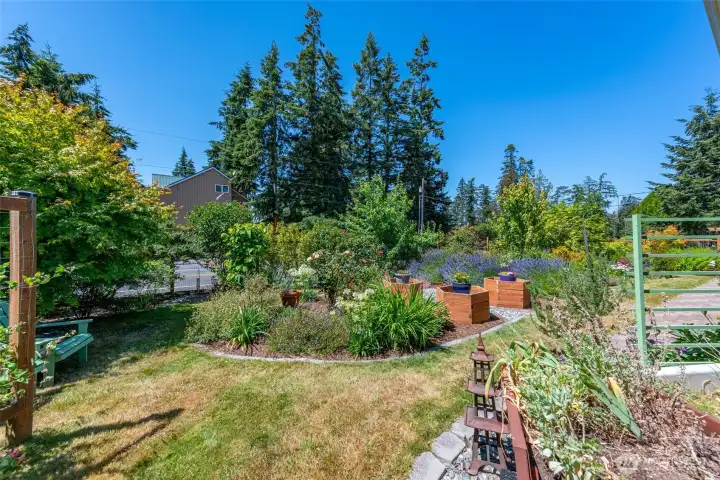 Fully Fenced Front Garden Creates an Oasis Fully Fenced Front Garden Creates an Oasis
