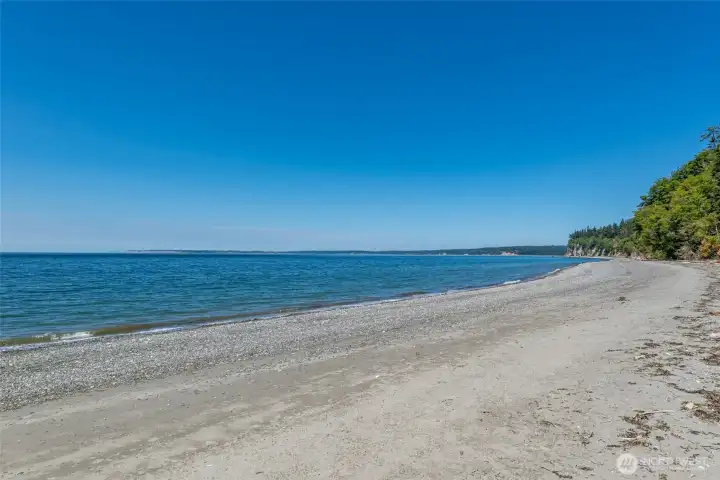 Fish For Salmon Right From the Beach! Fish For Salmon Right From the Beach!