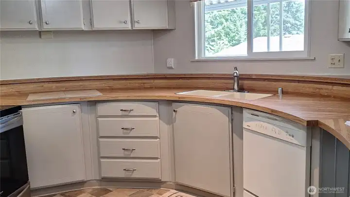 THE LAY OUT OF THIS KITCHEN IS A COOKS DREAM. MASSIVE COUNTER TOP.UPPER AND LOWER CABINTES.  PLUS LARGE PANTRY.