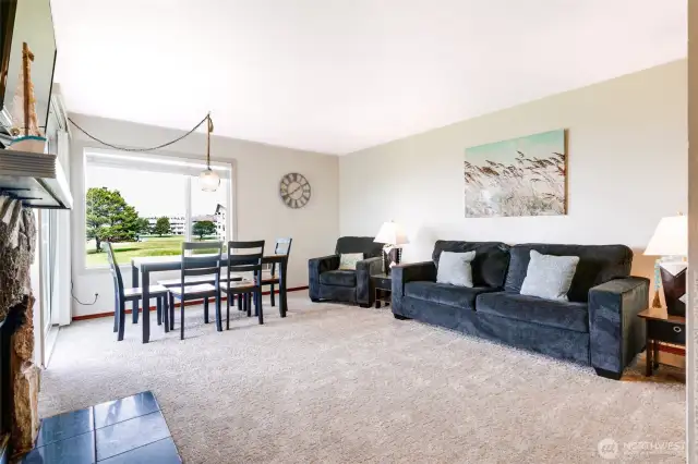 Primary living room