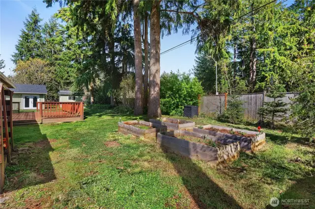 Raised Bed Garden - Fruit trees - Peach, Pear, Apple