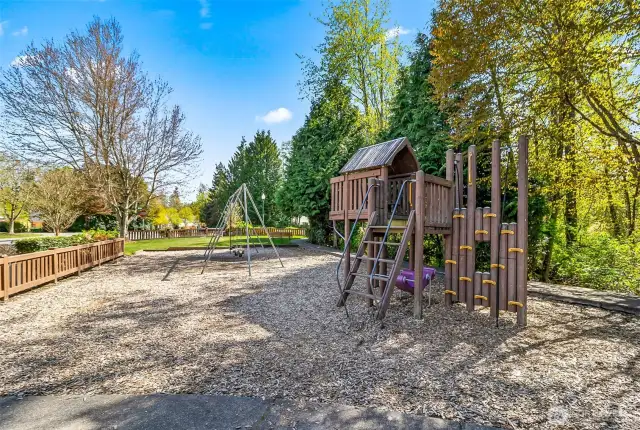 Community Playground
