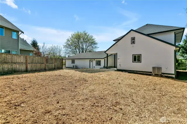 back yard