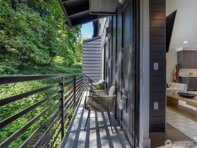 Living room balcony