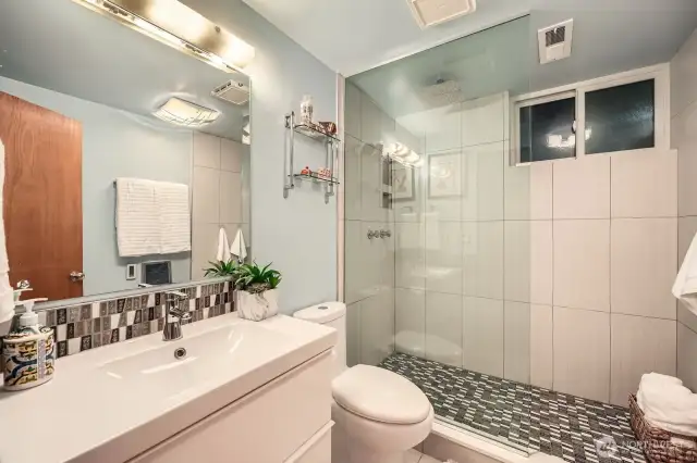 Lower 3rd level bathroom w/ walk-in shower