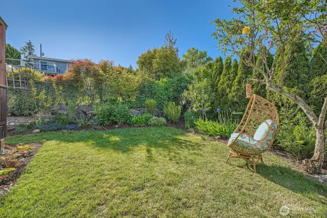 Space for frolicking in the low-maintenance, verdant garden