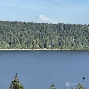 View from Deck. Mr Rainer bigger in person