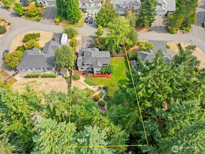 Private backyard backing to evergreens for privacy.
