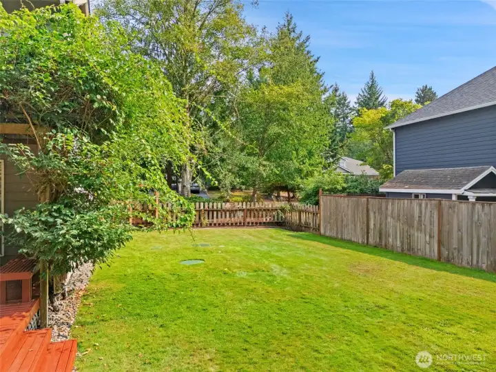 Fenced yard