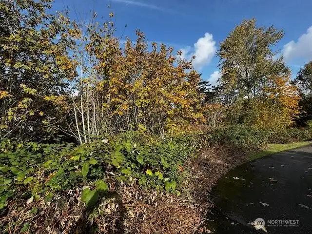 Looking to the north Current looking from south side of property