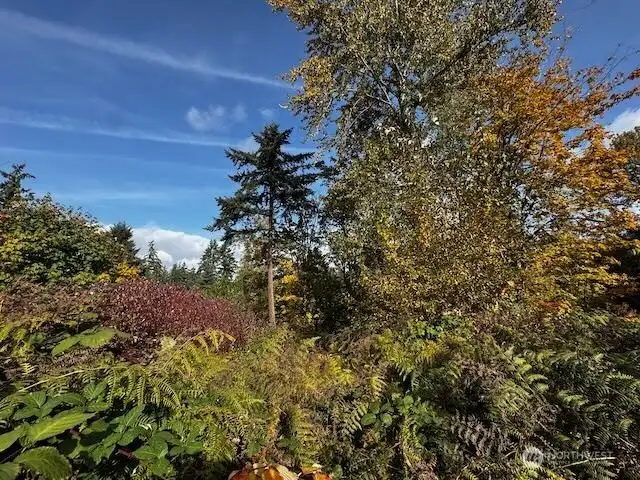 Looking to the north from the south