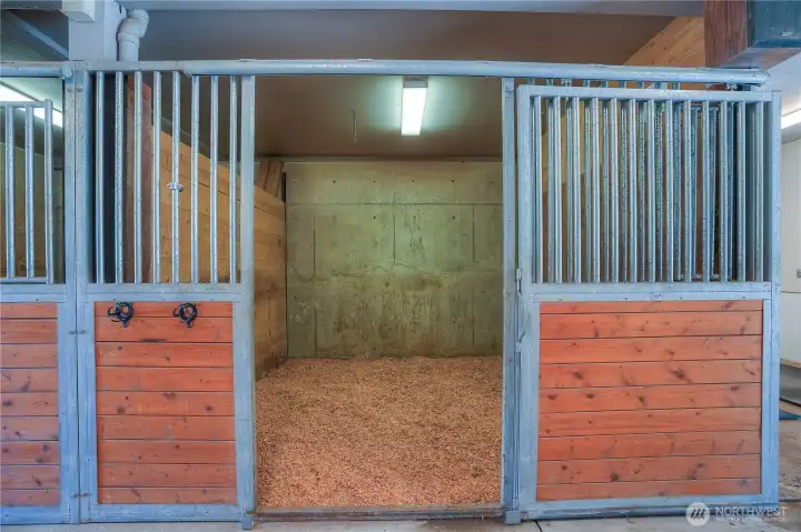 One of seven 12 X 12 matted stalls with Noble panel stalls fronts.