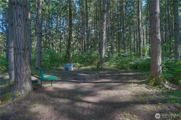 Lighted fire pit plus outdoor concrete wood fire stove; has been used for distilling maple sap harvested from the maple trees on the property and made into maple syrup and cooking!