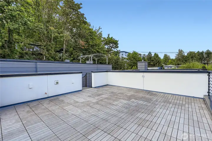 Spacious rooftop deck!