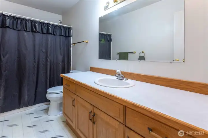 Main full bath off hallway with vaulted ceiling and skylight.