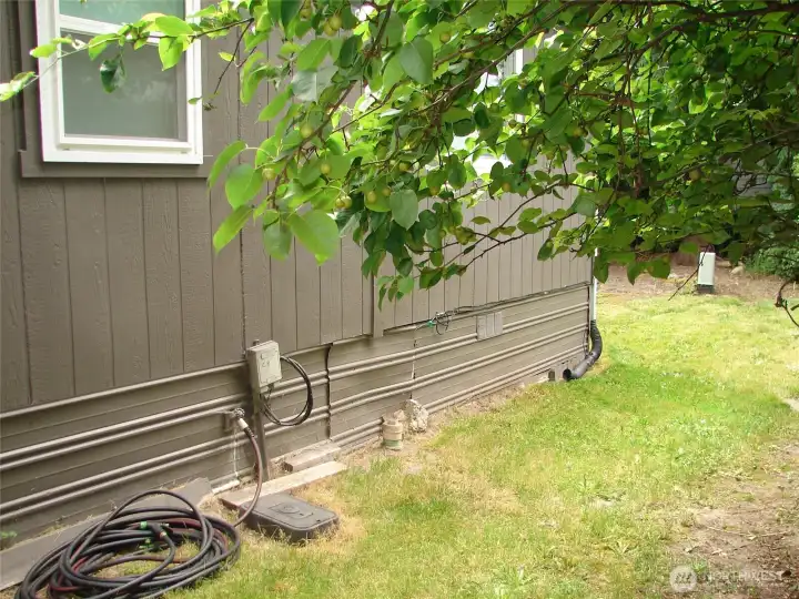 Backside of the home.