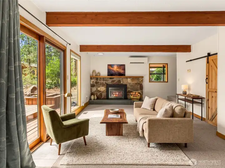 Family room with wood burning stove