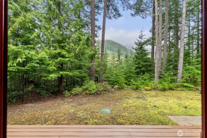 Mountain view from the living area