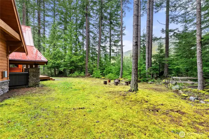 Enjoy wildlife sightings and a true Pacific Northwest setting