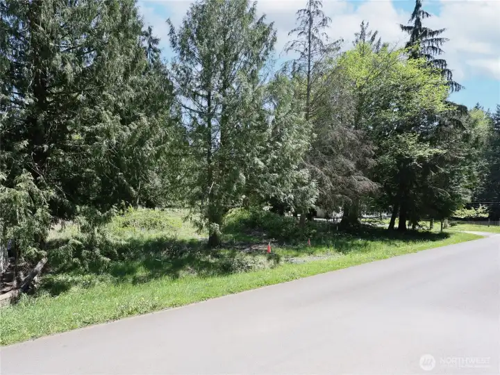 Peaceful and Quiet!