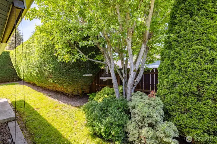 Nicely landscaped yard with privacy.