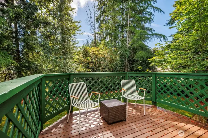 Beautiful deck overlooking back yard lush green space