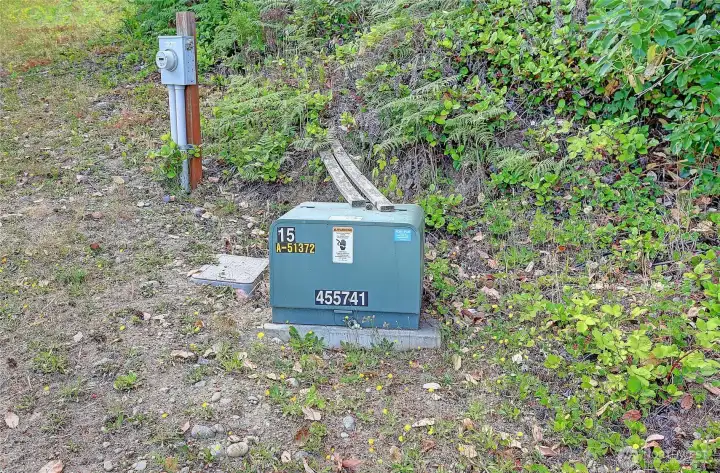 Existing PUD Electrical Service in Road (West Side Triangle Cove Ln)~