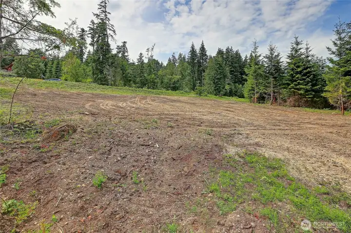 Freshly Cleared, Looking Towards South~