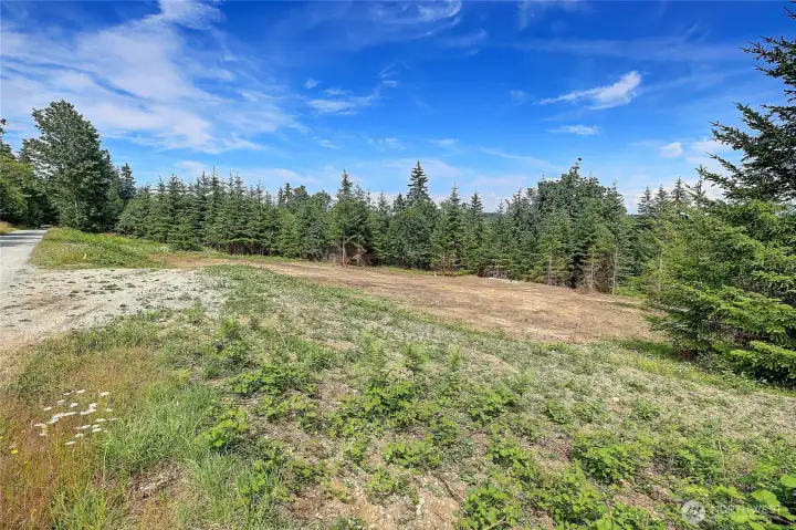 Looking North, Privately Maintained Triangle Cove Ln (Turnaround Bench on this parcel, Lot I)~