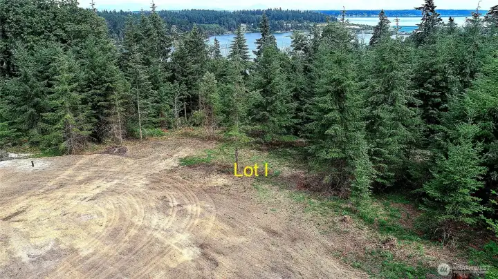 Mountain, Sound Views to East With Additional Selective Clearing of Your Trees~