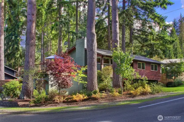 Lush new plantings complement the mature native setting.