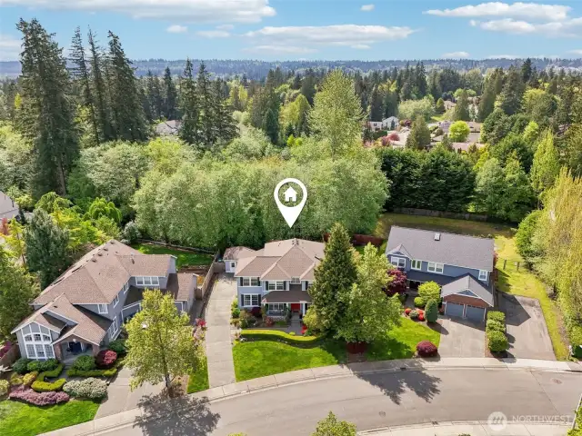 Immediate Neighborhood