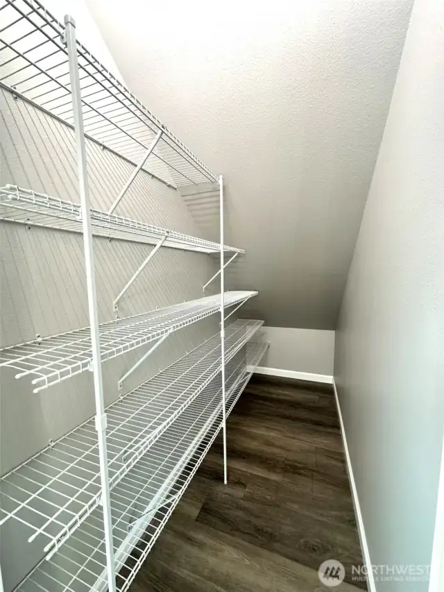 Walk-in Pantry